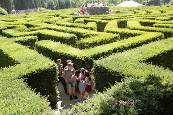 The maze at Leeds Castle